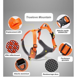 HARNAIS TRUELOVE MOUNTAIN ANTI-TRACTION