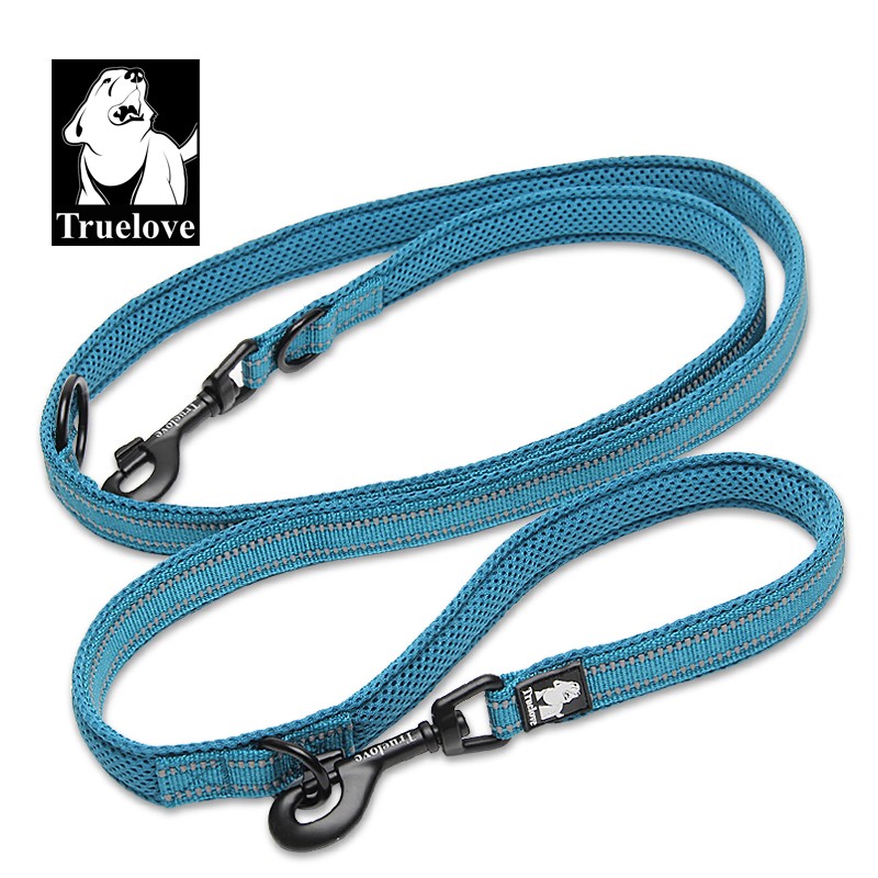 Laisse double attache Truelove chien