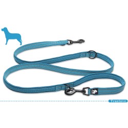 Laisse double attache Truelove chien