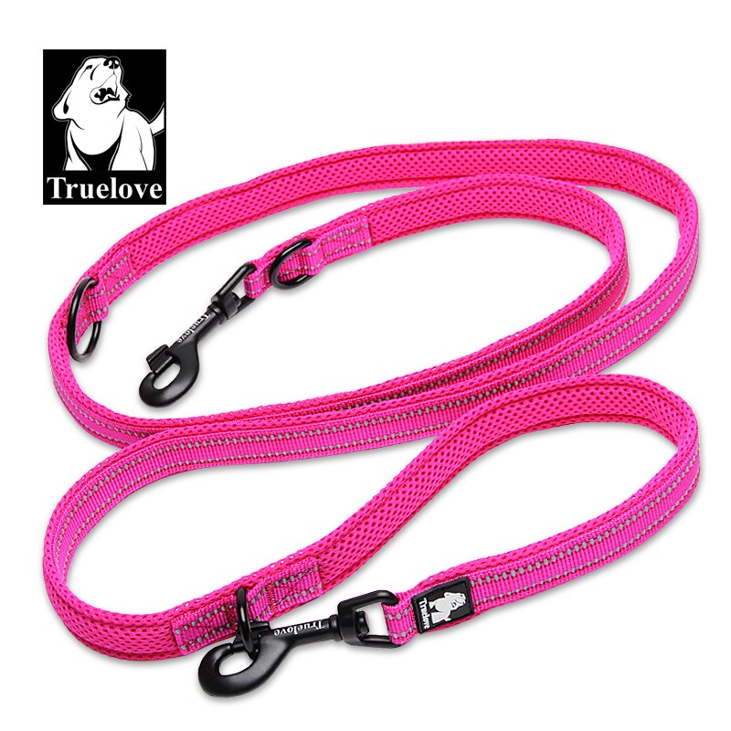 Laisse double attache Truelove chien