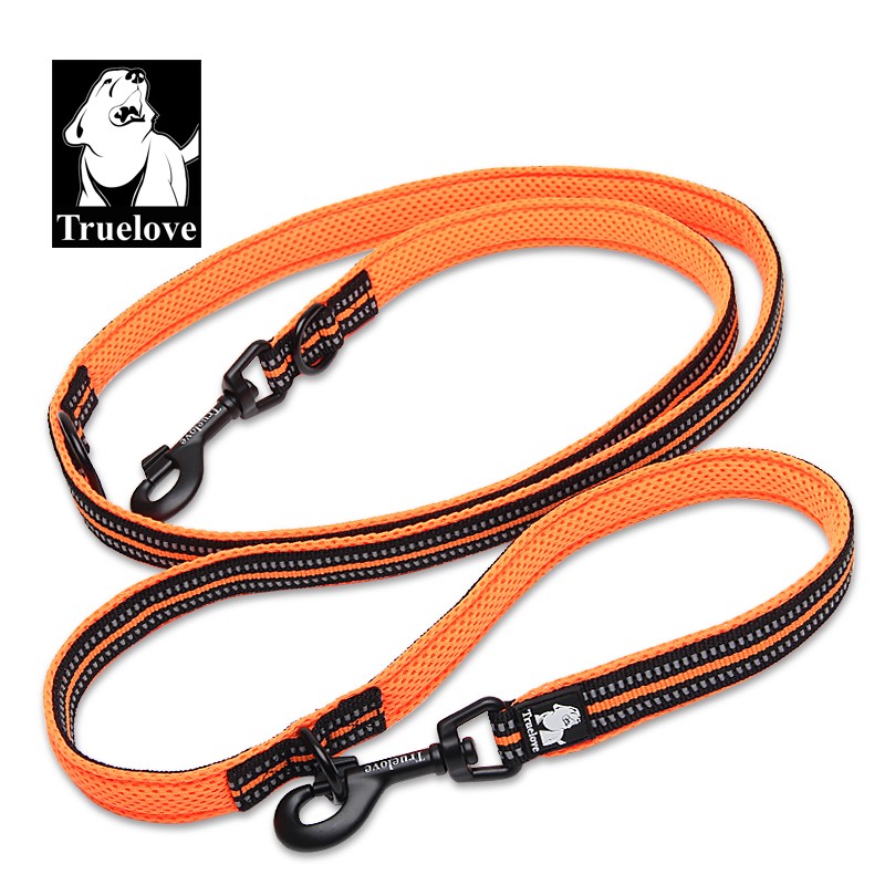 Laisse double attache Truelove chien