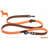 Laisse double attache Truelove chien