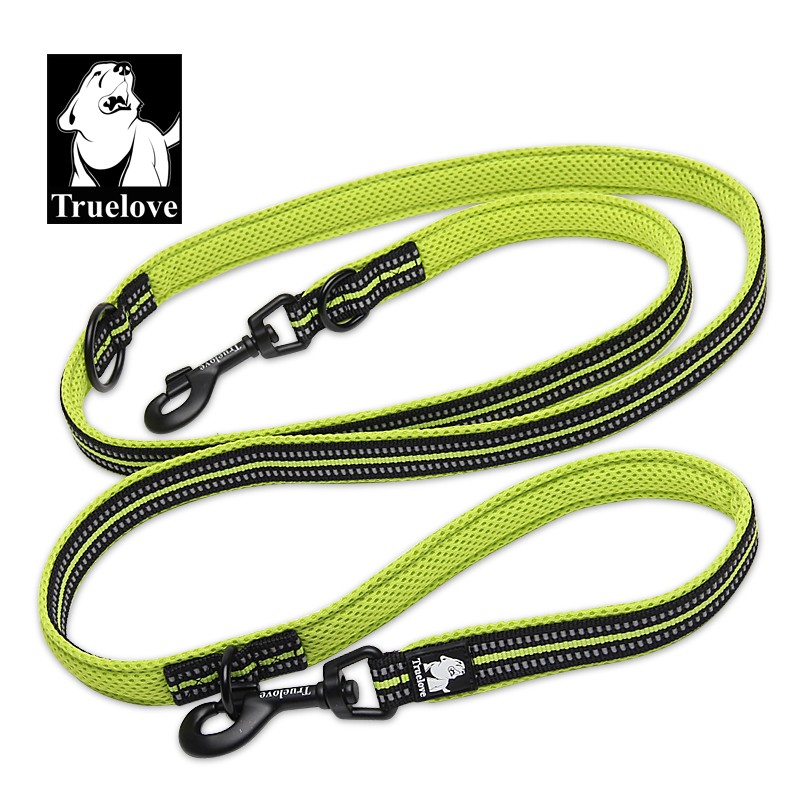 Laisse double attache Truelove chien