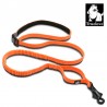 LONGE ELASTIQUE SOUPLE POUR CHIEN ORANGE/GRIS