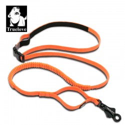 LONGE ELASTIQUE SOUPLE POUR CHIEN ORANGE/GRIS