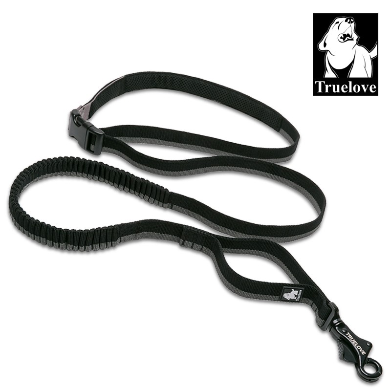 LONGE ELASTIQUE SOUPLE POUR CHIEN ORANGE/GRIS LONGE ELASTIQUE SOUPLE POUR CHIEN ORANGE/GRIS