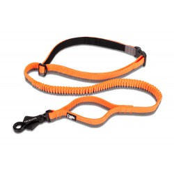 LONGE ELASTIQUE SOUPLE POUR CHIEN ORANGE/GRIS