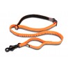 LONGE ELASTIQUE SOUPLE POUR CHIEN ORANGE/GRIS