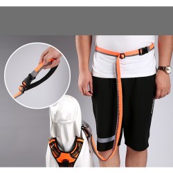 LONGE ELASTIQUE SOUPLE POUR CHIEN ORANGE/GRIS