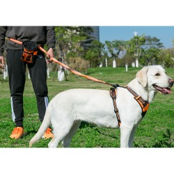 LONGE ELASTIQUE SOUPLE POUR CHIEN ORANGE/GRIS