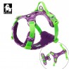 HARNAIS DE DRESSAGE ET PROMENADE POUR CHIEN REGLABLE TRUELOVE "COUNTRY"