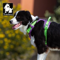 HARNAIS DE DRESSAGE ET PROMENADE POUR CHIEN REGLABLE TRUELOVE "COUNTRY"