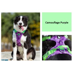 HARNAIS DE DRESSAGE ET PROMENADE POUR CHIEN REGLABLE TRUELOVE "COUNTRY"