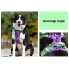 HARNAIS DE DRESSAGE ET PROMENADE POUR CHIEN REGLABLE TRUELOVE "COUNTRY"