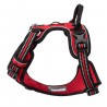 HARNAIS DE DRESSAGE ET PROMENADE POUR CHIEN REGLABLE TRUELOVE "COUNTRY"