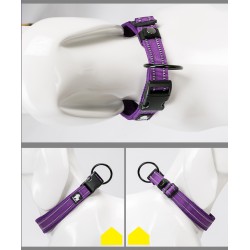 COLLIER POUR CHIEN CONFORT, REGLABLE, REFLECHISSANT