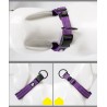COLLIER POUR CHIEN CONFORT, REGLABLE, REFLECHISSANT