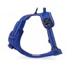 HARNAIS DE DRESSAGE ET PROMENADE POUR CHIEN REGLABLE TRUELOVE "COUNTRY"