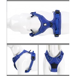 HARNAIS DE DRESSAGE ET PROMENADE POUR CHIEN REGLABLE TRUELOVE "COUNTRY"