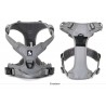 HARNAIS DE DRESSAGE ET PROMENADE POUR CHIEN REGLABLE TRUELOVE "COUNTRY"