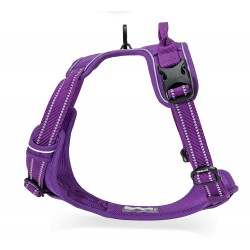 HARNAIS DE DRESSAGE ET PROMENADE POUR CHIEN REGLABLE TRUELOVE "COUNTRY"