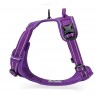 HARNAIS DE DRESSAGE ET PROMENADE POUR CHIEN REGLABLE TRUELOVE "COUNTRY"