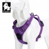 HARNAIS DE DRESSAGE ET PROMENADE POUR CHIEN REGLABLE TRUELOVE "COUNTRY"