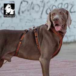 HARNAIS TRUELOVE ESCAPE TROIS POINTS - 3 POINTS ANTI-FUGUE