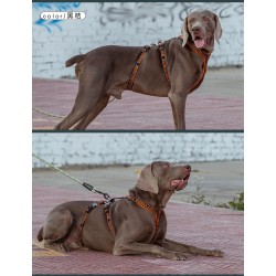 HARNAIS TRUELOVE ESCAPE TROIS POINTS - 3 POINTS ANTI-FUGUE