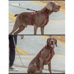 HARNAIS TRUELOVE ESCAPE TROIS POINTS - 3 POINTS ANTI-FUGUE