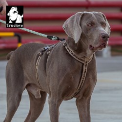 HARNAIS TRUELOVE ESCAPE TROIS POINTS - 3 POINTS ANTI-FUGUE