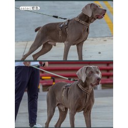 HARNAIS TRUELOVE ESCAPE TROIS POINTS - 3 POINTS ANTI-FUGUE