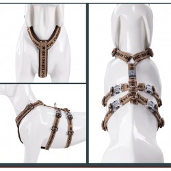 HARNAIS TRUELOVE ESCAPE TROIS POINTS - 3 POINTS ANTI-FUGUE