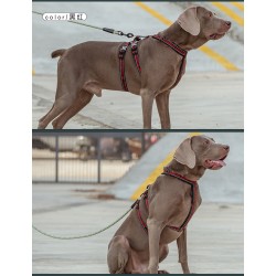 HARNAIS TRUELOVE ESCAPE TROIS POINTS - 3 POINTS ANTI-FUGUE