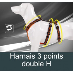HARNAIS TRUE LOVE ESCAPE 3 POINTS