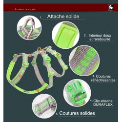 HARNAIS TRUELOVE ESCAPE TROIS POINTS - 3 POINTS ANTI-FUGUE