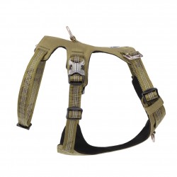 HARNAIS 3 POINTS WINHYEPET ANTI FUGUE SAFETY (gamme TRUELOVE)