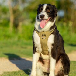 HARNAIS 3 POINTS WINHYEPET ANTI FUGUE SAFETY (gamme TRUELOVE)