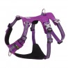 HARNAIS WINHYEPET ANTI FUGUE SAFETY 3 POINTS (gamme TRUELOVE)