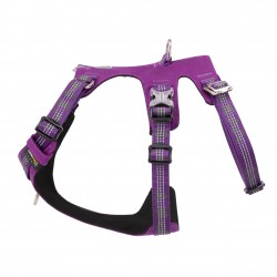 HARNAIS 3 POINTS WINHYEPET ANTI FUGUE SAFETY (gamme TRUELOVE)