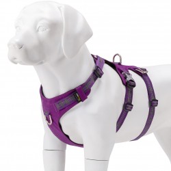 HARNAIS WINHYEPET ANTI FUGUE SAFETY 3 POINTS (gamme TRUELOVE)