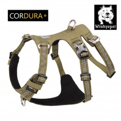 HARNAIS 3 POINTS WINHYEPET ANTI FUGUE SAFETY (gamme TRUELOVE)