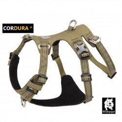 HARNAIS 3 POINTS WINHYEPET...