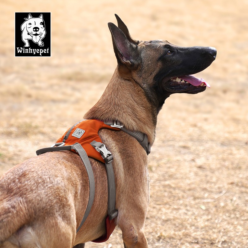 HARNAIS 3 POINTS TACTIQUE ANTI FUGUE WINHYEPET SAFETY 3 POINTS