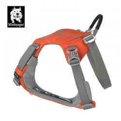 HARNAIS 3 POINTS TACTIQUE ANTI FUGUE WINHYEPET SAFETY 3 POINTS