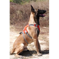 HARNAIS 3 POINTS TACTIQUE ANTI FUGUE WINHYEPET SAFETY 3 POINTS