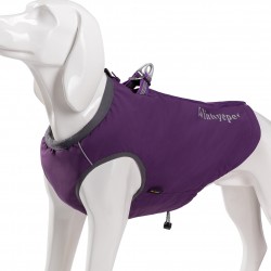 PULL WINHYEPET MANTEAU VESTE POUR CHIEN EN CORDURA IMPERMEABLE WINHYEPET