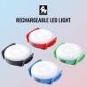 LED True Love visibilité nuit collier et harnais