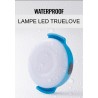 LED True Love visibilité nuit collier et harnais