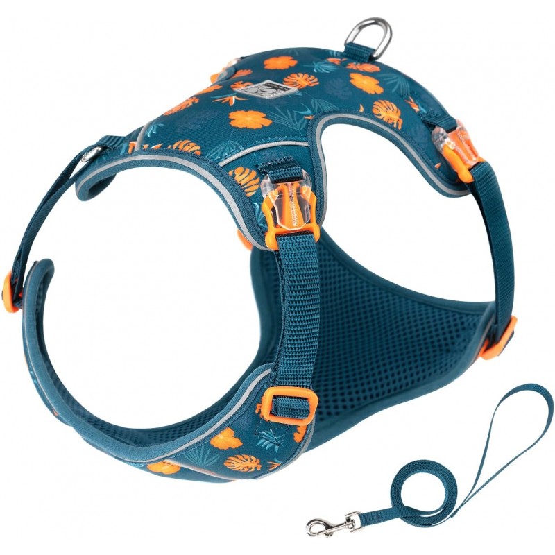 HARNAIS CHIHUAHUA - SPITZ- YORKSHIRE- PEKINOIS- PINSCHER- TECKEL- SHIH TZU- CANICHE- SOFT + LAISSE